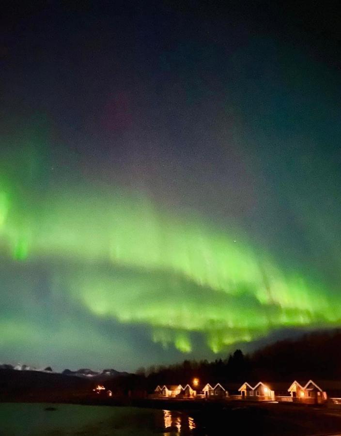 Idyllisk Sjohus Pa Naurstad Bodø Zewnętrze zdjęcie
